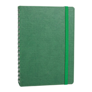 ANITTEPE YEŞİL TARİHLİ GİZLİ SPİRALLİ AJANDA (17X24 CM)