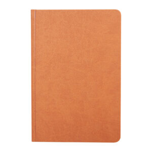 ULUS TABA TARİHLİ AJANDA (17X24 CM)