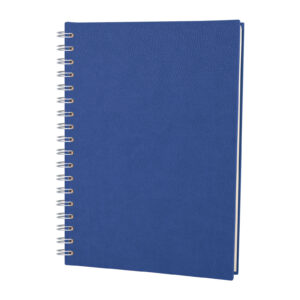 ALTINDAĞ LACİVERT KARELİ SPİRALLİ TARİHSİZ DEFTER (17X24 CM)