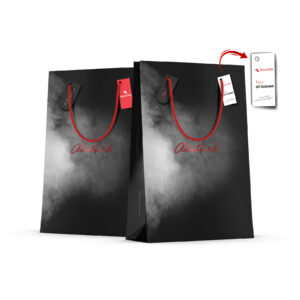 ALA-43 BÜYÜK BOY DİKEY KARTON ÇANTA