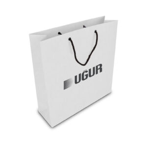 ALA-56 KÜÇÜK BOY KARTON ÇANTA(24x25.5x8,5 cm)